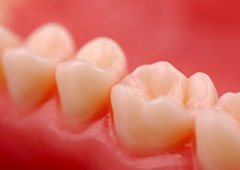Closeup of healthy teeth